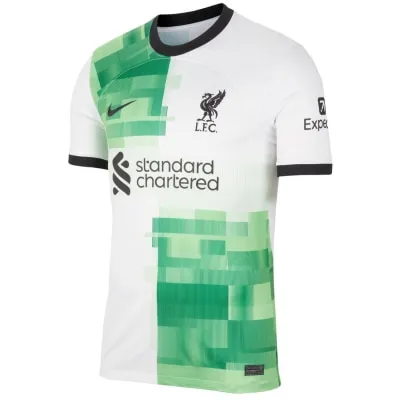 Nike Liverpool FC NK DF STAD AW Herren Trikot kaufen