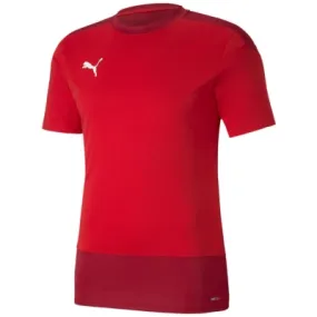 Puma TeamGOAL 23 Training Herren Trikot kaufen